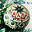 carving-tk.com