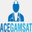 acegamsat.com