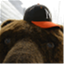 whatsbruinnorthrop.com
