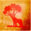 alberodonte.wordpress.com