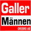 gallermannen.se