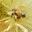 kennethenorton.wordpress.com