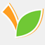 fruvexpressjuicery.com