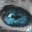 as2tutorials.wordpress.com