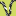 vividstudio.ca