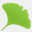 gingkoapp.com
