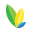 venpac.com