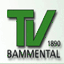 turnverein-bammental.de