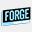 forgeroofing.com