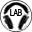 thelabexperimental.com