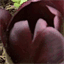 pulseoftheland.com