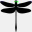 odonata-research.com