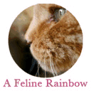 feline-rainbow.tumblr.com