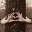 ecothrive.wordpress.com