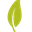 vertbrome.com