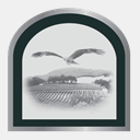 silverhawkvineyards.com