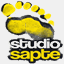 studiosapte.ro