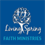 lsfminternational.org