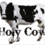 holycowblogdotnet.wordpress.com