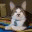 thatdamcat.wordpress.com