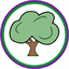 walverdenprimaryschool.uk