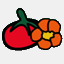 tomate-capucine.fr