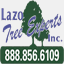 lazotreeexperts.com