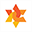 bethisraelmv.org