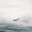 tinyprivatejet.wordpress.com