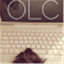 offleashchronicles.com