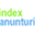 index-anunturi.ro