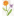 skindoona.com