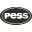 pess.com.pl