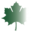 mulchgreen.com