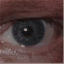 michastein.de