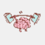 bigbrainbox.wordpress.com