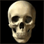 whiskeyhead.com