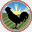 barnfeathers.com