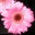 phaenomene.wordpress.com