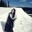 denandreermeg.wordpress.com