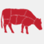 thebutchersson.ca