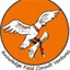 knowledgefieldconsults.com