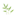 maxineclair.com
