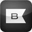 blinkinc.com