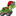 trafficspeedway.com
