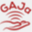 ga-ja.com