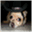 smalldogpizza.com