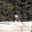 mrjdobbs.wordpress.com