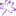 chattapics.com