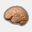 thinkoutsidetherock.net